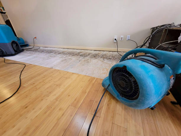 Professional Sewage Cleanup technician working in Monroe, OH